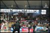 sirbos20095.jpg