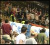 bossir20093.jpg