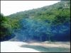borak20104.jpg